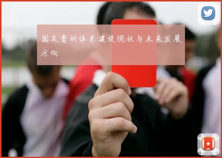国足青训体系建设现状与未来发展方向