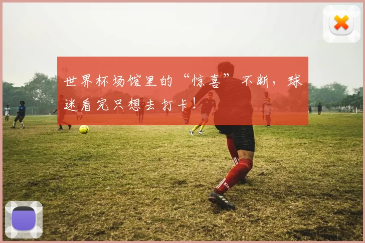 世界杯场馆里的“惊喜”不断,球迷看完只想去打卡!