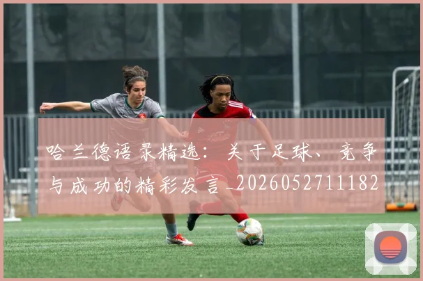 哈兰德语录精选：关于足球、竞争与成功的精彩发言_20260527111822_20260608142803